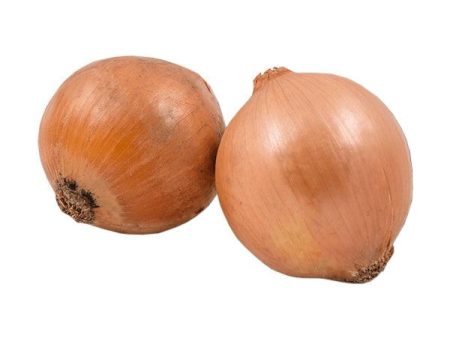 Australia Brown Onion  (600g) Online