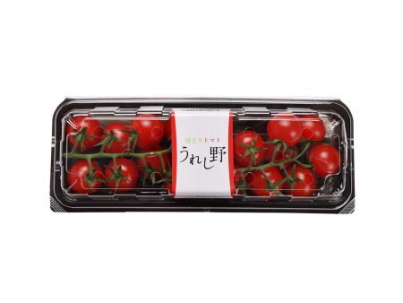 ASAI FARM Japan Mini Tomato On Vine Sale