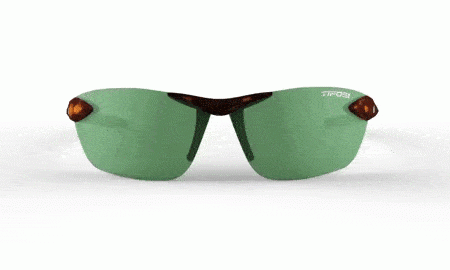 Tifosi Optics Seek FC Sunglasses Online Sale