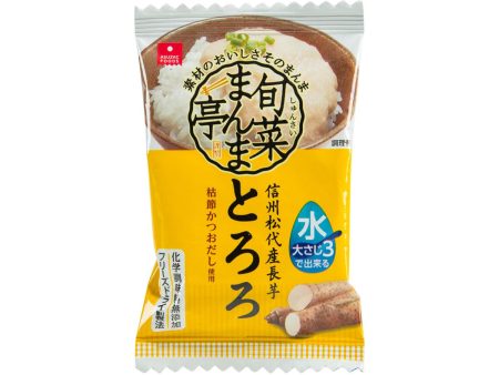 ASUZAC FOODS Instant Freeze-dried Tororo Grated Shinshu Matsshiro Yam  (6.8g) For Discount