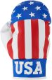 ProActive Sports USA Boxing Glove Golf Headcover Cheap