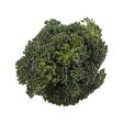 Australia Broccolini  (190g) on Sale