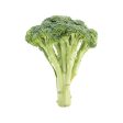 USA Organic Broccoli  (290g) Online Hot Sale