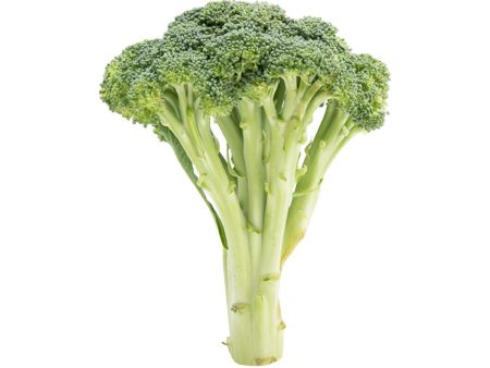 USA Organic Broccoli  (290g) Online Hot Sale