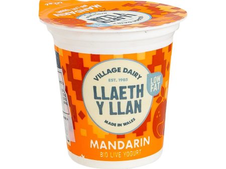 VILLAGE DAIRY Low Fat Mandarin Yogurt  (125g) Discount