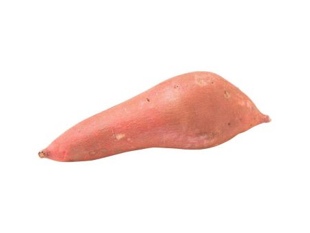 USA Organic Red Skin Sweet Potato  (440g) For Discount