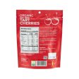 AMPHORA Organic Soft Dried Tart Cherries  (85g) Supply