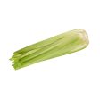 USA Organic Celery  (500g) Online now