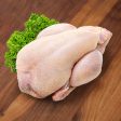 UK Organic Whole Chicken [Previously Frozen] Online Sale