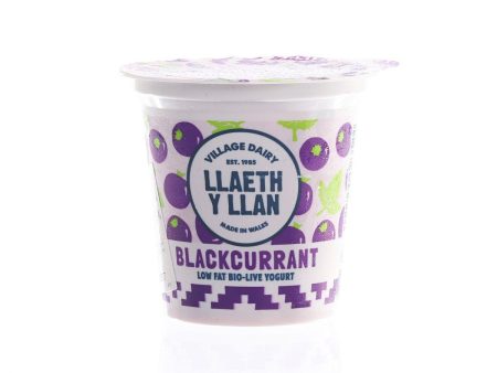 VILLAGE DAIRY Low Fat Blackcurrant Yogurt  (125g) on Sale