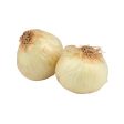 USA Organic Yellow Onion  (600g) Supply