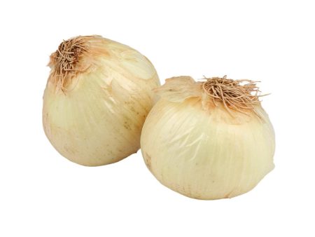 USA Organic Yellow Onion  (600g) Supply